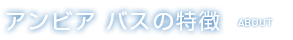 アンビア バスの特徴